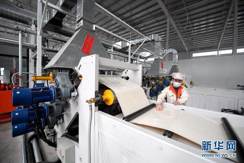 河北武安 可降解环保材料产业兴起，生态制造助力绿色发展