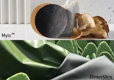 绿色驱动，引领变革 在颠覆的汽车时代，奔驰为何勇闯可持续造车之路