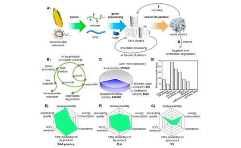 天津大学研发可持续DNA生物塑料 全流程绿色环保，用水即可回收